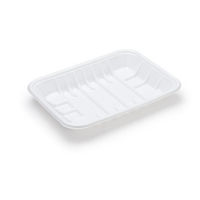 uae/images/productimages/gulf-east-paper-and-plastic-industries-llc/plastic-disposable-tray/rectangular-plastic-tray-gpt2.webp