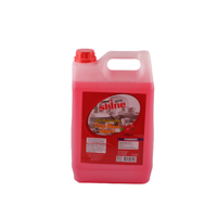 uae/images/productimages/gulf-international-industries-company-llc/dish-wash/new-shine-dish-wash-liquid-strawberry-liquid-5-l.webp