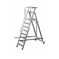 uae/images/productimages/gulf-safety-equip-trdg-llc/cantilever-ladder/ladder-platform-stcpf-12.webp