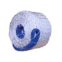 uae/images/productimages/gulf-safety-equip-trdg-llc/polypropylene-rope/polypropylene-rope-85-mm-3-5-x-220m.webp