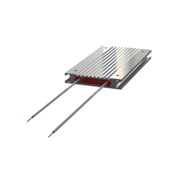 uae/images/productimages/gulf-tech-automation/braking-resistor/reo-braking-resistors-reohm-bw-151-900-v-1-1-2000-ohm.webp