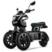 uae/images/productimages/h&a-middle-east-fzc-llc/scooter/eveon-itank-dual-trike-scooter-black.webp