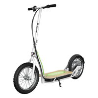 uae/images/productimages/h&a-middle-east-fzc-llc/scooter/razor-ecosmart-electric-scooter-100-kg.webp