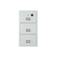 uae/images/productimages/hartmann-tresore-middle-east-llc/filing-cabinet/suspension-file-drawer-cabinets-ht-2frfc-320-250-kg.webp