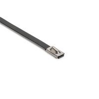 uae/images/productimages/hellermanntyton-gmbh/cable-tie/stainless-steel-cable-tie-ball-bearing-lock-201-4-6-mm.webp