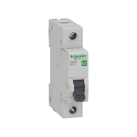 uae/images/productimages/hermes-electric-fze/circuit-breaker/circuit-breaker-easy9-mcb-1p-16a230v-hdfdb-ez9f56116.webp