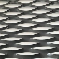 uae/images/productimages/hidayath-group/metal-mesh/expanded-metal-hex-165-20-mm.webp