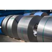 uae/images/productimages/himalaya-steel-trading-fze/carbon-steel-coil/hot-rolled-steel-coil.webp