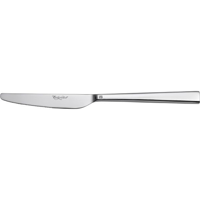 uae/images/productimages/hospitality-monster/domestic-knife/aura-table-knife-solid-handle-24-cm.webp