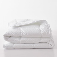 uae/images/productimages/hospitality-monster/duvet/feather-duvet-twin-size-195-x-245-cm.webp