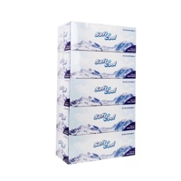 uae/images/productimages/hotpack-packaging-industries-llc/facial-tissue-paper/soft-n-cool-tissue-100-sheets.webp