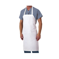 uae/images/productimages/hotpack-packaging-industries-llc/kitchen-apron/apron-white.webp