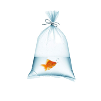 uae/images/productimages/hotpack-packaging-industries-llc/plastic-disposable-bag/plastic-fish-bag.webp