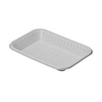 uae/images/productimages/hotpack-packaging-industries-llc/plastic-disposable-tray/rect-plastic-tray-no-2.webp