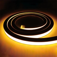 uae/images/productimages/hsi-lighting/strip-light/tira-neon-hs000lb-109-a-led-strip-light-24-v-180-lm-w.webp