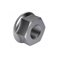 uae/images/productimages/husaini-brothers-(llc)/flange-nut/din-6923-flange-nut-serrated.webp