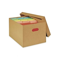 uae/images/productimages/idea-star-packing-and-packing-materials-trading-llc/paper-box/storage-file-box-idr8702.webp