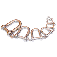 uae/images/productimages/juma-hardware-co/dee-shackle/d-shackle.webp