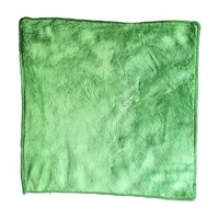 uae/images/productimages/kaddah-cleaning-equipment/hand-towel/royal-home-microfiber-coral-towel-kt34g-30-x-30-cm-green-45-g.webp