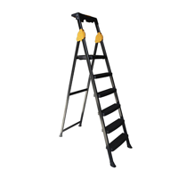 uae/images/productimages/kaddah-cleaning-equipment/step-ladder/akc-step-ladder-plus-sl02-5-5-1-black.webp