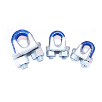 uae/images/productimages/kagalwala-trading-llc/wire-rope-clip/blue-pin-wire-rope-clip.webp