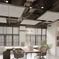 uae/images/productimages/knauf-ceiling-solutions/suspended-ceiling-tile/knauf-ceiling-heradesign-sky-line.webp