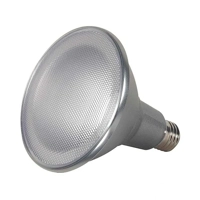 uae/images/productimages/led-corner-trading-llc/led-bulb/par38-led-bulb.webp