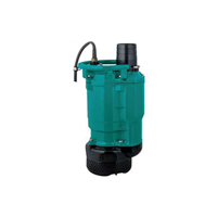 uae/images/productimages/leo-middle-east-fze/dewatering-pump/submersible-dewatering-pump.webp