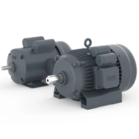 uae/images/productimages/lubi-industries-llp/induction-motor/lubi-mms-series-cast-iron-single-phase-induction-motor.webp