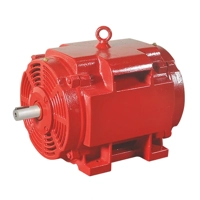 uae/images/productimages/lubi-industries-llp/pump-motor/lubi-ld-series-fire-pump-motor.webp