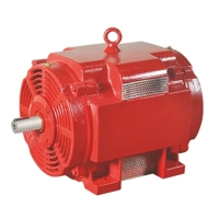 uae/images/productimages/lubi-industries-llp/pump-motor/lubi-le-series-spdp-fire-pump-motor.webp