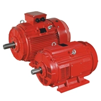 uae/images/productimages/lubi-industries-llp/pump-motor/lubi-ltdc-series-fire-pump-motor.webp