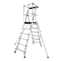 uae/images/productimages/maintive/platform-ladder/guardian-telescopic-platform-ladder-g1012.webp