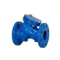 uae/images/productimages/master-mechanical-equipment-llc/lift-check-valve/lift-check-valve.webp