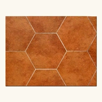 uae/images/productimages/matrix-finishes-llc/mosaic-tiles/spanish-terracotta-heagon-handmade-tile-8-mm.webp