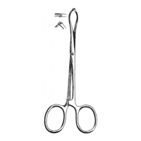 uae/images/productimages/medical-trade-hub/tissue-forceps/hilbro-porrier-tissue-forceps-12-5-cm.webp