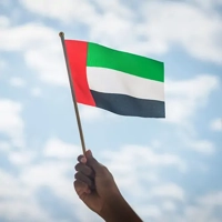 uae/images/productimages/mermaid-digital-printing-llc/handheld-flag/hand-held-flag-60-cm-plastic.webp