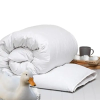 uae/images/productimages/metro-hotel-supplies-llc/duvet/duck-feather-duvet-160-x-240-cm.webp