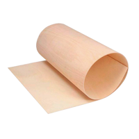 uae/images/productimages/mih-building-materials/plywood-board/horizontal-bend-plywood-wd603-b-5-4-x-8-ft-5-mm.webp