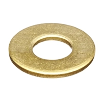 uae/images/productimages/mufaddal-raj-building-material-trading/flat-washer/brass-washer.webp