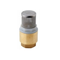 uae/images/productimages/mufaddal-raj-building-material-trading/foot-valve/foot-valve.webp