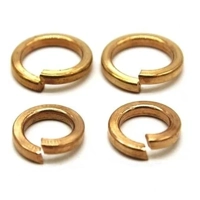 uae/images/productimages/mufaddal-raj-building-material-trading/spring-washer/brass-spring-washer.webp