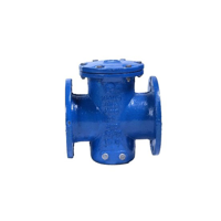 uae/images/productimages/murtuza-shabbir-trading-llc/basket-strainer/cast-iron-ductile-iron-basket-strainer-valve.webp