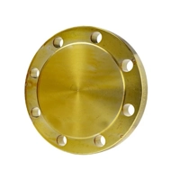 uae/images/productimages/murtuza-shabbir-trading-llc/blind-flange/blind-flange-1-2-24-inch.webp