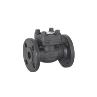 uae/images/productimages/murtuza-shabbir-trading-llc/check-valve/forged-steel-check-valve.webp