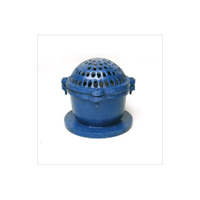 uae/images/productimages/murtuza-shabbir-trading-llc/foot-valve/cast-iron-ductile-iron-foot-valve.webp