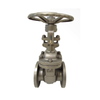 uae/images/productimages/murtuza-shabbir-trading-llc/gate-valve/gate-valve-ve250-egk-gv-a6-t1-dn-50.webp