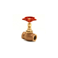 uae/images/productimages/murtuza-shabbir-trading-llc/globe-valve/brass-bronze-globe-valve-2-12-inch.webp