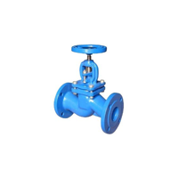 uae/images/productimages/murtuza-shabbir-trading-llc/globe-valve/cast-iron-ductile-iron-globe-valve.webp