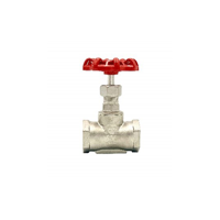 uae/images/productimages/murtuza-shabbir-trading-llc/globe-valve/stainlesss-steel-globe-vavle.webp